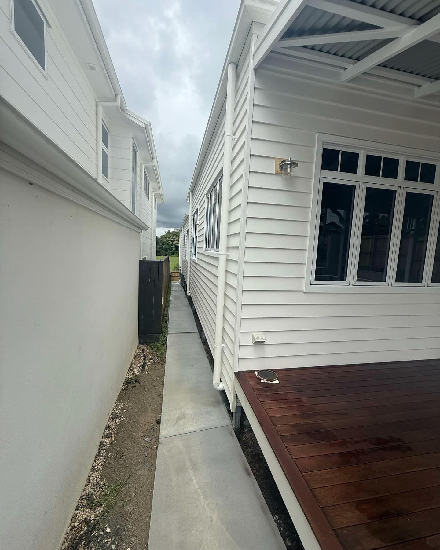 Moreton-Bay-Painter (2)